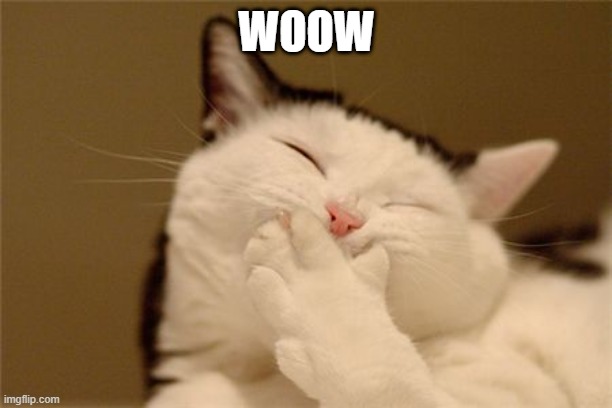 cat laughing | WOOW | image tagged in cat laughing | made w/ Imgflip meme maker