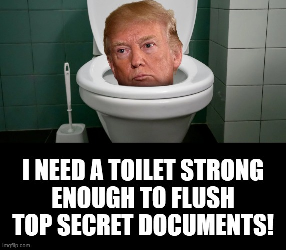 TRUMP FLUSH | I NEED A TOILET STRONG
ENOUGH TO FLUSH TOP SECRET DOCUMENTS! | image tagged in nevertrump,toilet,top secret,documents,mobster,flush | made w/ Imgflip meme maker