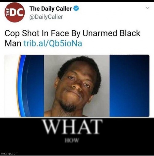 Stolen meme moment | image tagged in what how template | made w/ Imgflip meme maker