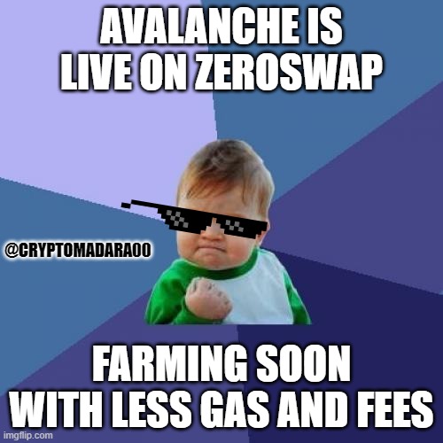 What a success! | AVALANCHE IS LIVE ON ZEROSWAP; @CRYPTOMADARA00; FARMING SOON WITH LESS GAS AND FEES | image tagged in memes,success kid,zeroswap,zee,cryptocurrency,multi-chain | made w/ Imgflip meme maker