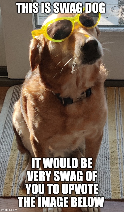 THIS IS SWAG DOG; IT WOULD BE VERY SWAG OF YOU TO UPVOTE THE IMAGE BELOW | made w/ Imgflip meme maker
