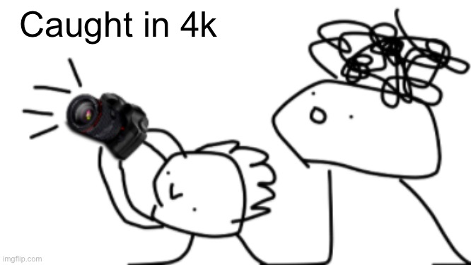 caught in 4k | Caught in 4k | image tagged in caught in 4k | made w/ Imgflip meme maker