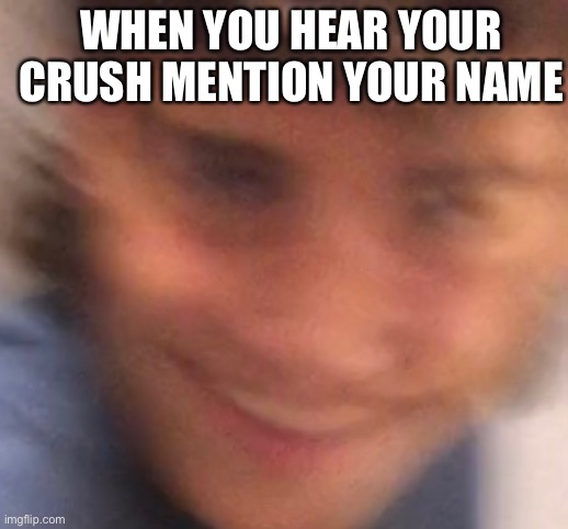 Im lonely ngl | WHEN YOU HEAR YOUR CRUSH MENTION YOUR NAME | image tagged in funny,memes | made w/ Imgflip meme maker