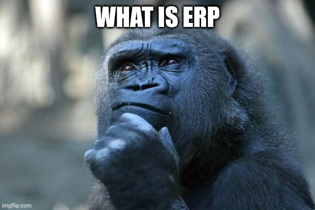Deep Thoughts | WHAT IS ERP | image tagged in deep thoughts | made w/ Imgflip meme maker