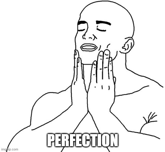 Satisfaction | PERFECTION | image tagged in satisfaction | made w/ Imgflip meme maker