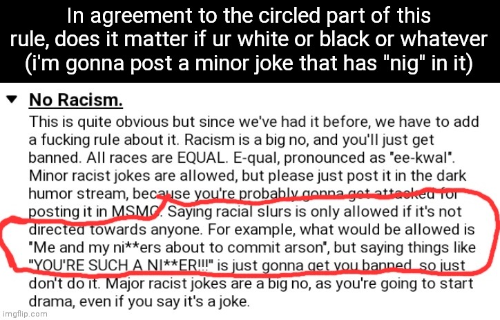 Just asking so i make sure i don't piss y'all off | In agreement to the circled part of this rule, does it matter if ur white or black or whatever (i'm gonna post a minor joke that has "nig" in it) | made w/ Imgflip meme maker