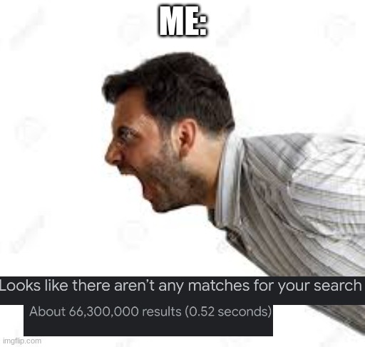 When  there are no matches for your search but there's about 66.3 million results | ME: | image tagged in memes | made w/ Imgflip meme maker