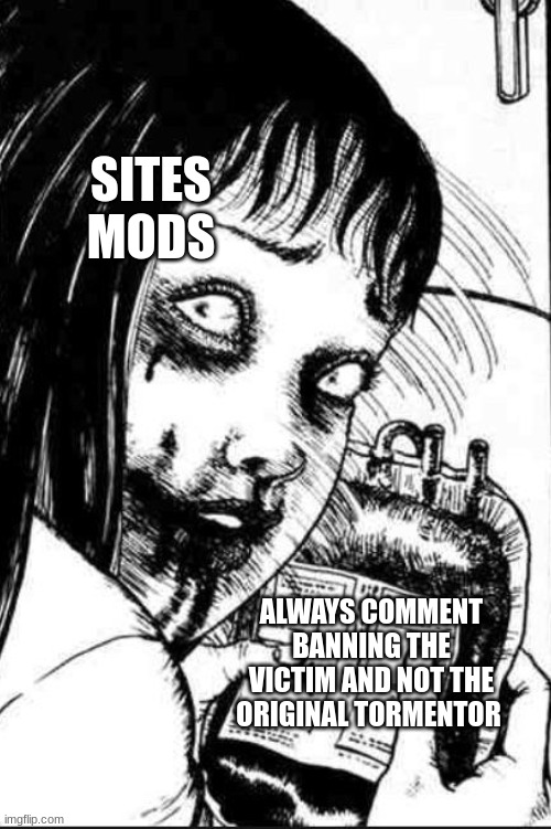 oddly common with users from here. | SITES MODS; ALWAYS COMMENT BANNING THE VICTIM AND NOT THE ORIGINAL TORMENTOR | made w/ Imgflip meme maker