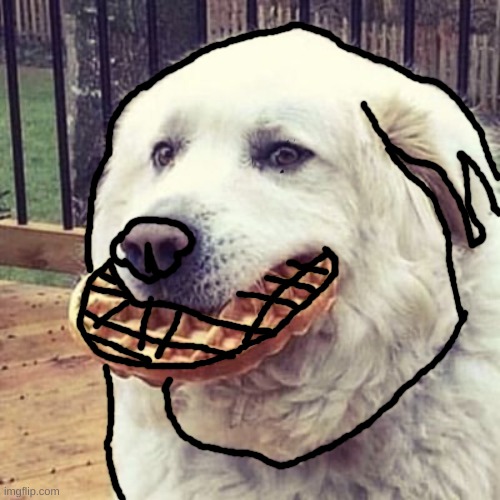 woofle | image tagged in woofle | made w/ Imgflip meme maker