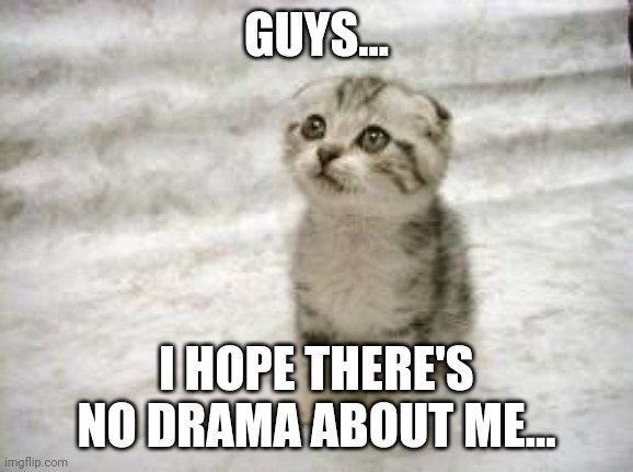 I did aboututy nothing "wrong"! | GUYS... I HOPE THERE'S NO DRAMA ABOUT ME... | image tagged in memes,sad cat | made w/ Imgflip meme maker