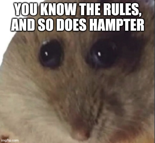 Hampter | YOU KNOW THE RULES, AND SO DOES HAMPTER | image tagged in hampter | made w/ Imgflip meme maker