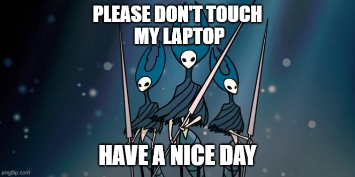 mantic lords dont touch my laptop | PLEASE DON'T TOUCH
 MY LAPTOP; HAVE A NICE DAY | image tagged in hollow knight | made w/ Imgflip meme maker