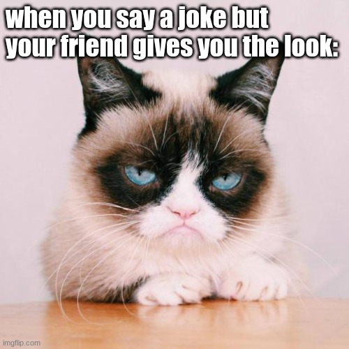 grumpy cat again | when you say a joke but your friend gives you the look: | image tagged in grumpy cat again | made w/ Imgflip meme maker