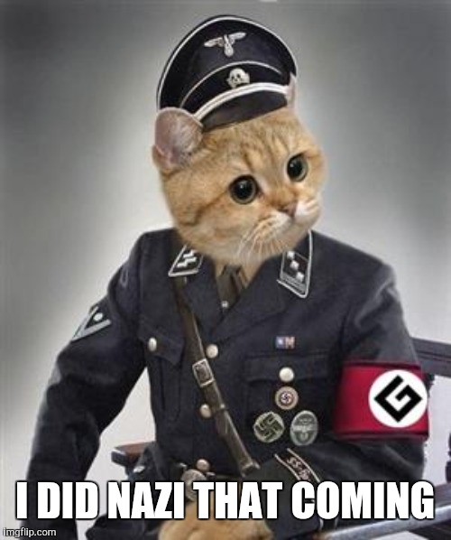 Grammar Nazi Cat | I DID NAZI THAT COMING | image tagged in grammar nazi cat | made w/ Imgflip meme maker