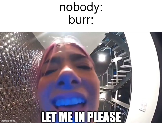 new to this stream | nobody:
burr:; LET ME IN PLEASE | image tagged in let me in please | made w/ Imgflip meme maker