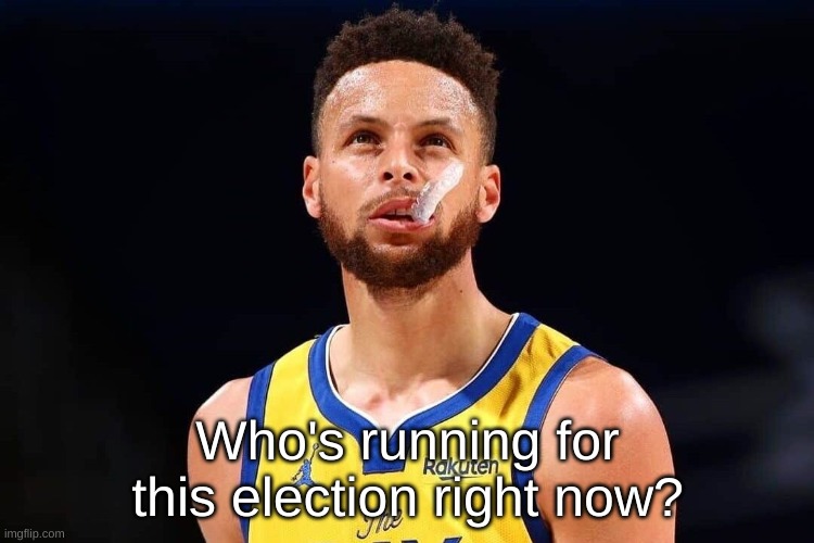 Who's running for this election right now? | image tagged in not a gif | made w/ Imgflip meme maker