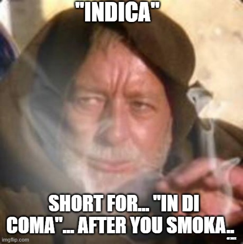 May The Blunts Be With You | "INDICA"; SHORT FOR... "IN DI COMA"... AFTER YOU SMOKA.. GF 2022 | image tagged in obiwan star wars joint smoking weed | made w/ Imgflip meme maker