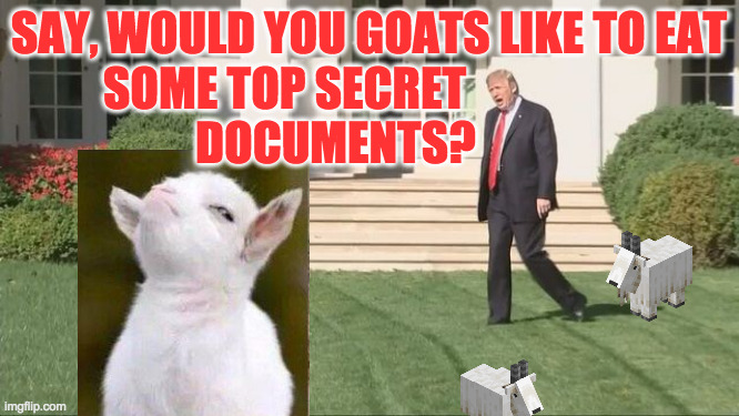 Trump lawnmower kid | SAY, WOULD YOU GOATS LIKE TO EAT
          SOME TOP SECRET
                    DOCUMENTS? | image tagged in trump lawnmower kid | made w/ Imgflip meme maker