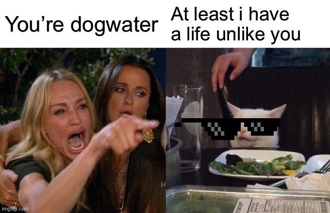 That’s gotta hurt- | You’re dogwater; At least i have a life unlike you | image tagged in memes,woman yelling at cat,funny,roasted,cats | made w/ Imgflip meme maker