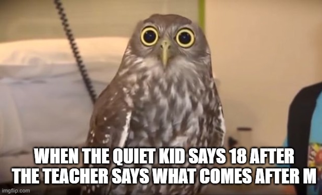 Shocked owl | WHEN THE QUIET KID SAYS 18 AFTER THE TEACHER SAYS WHAT COMES AFTER M | image tagged in shocked owl,run,quiet kid | made w/ Imgflip meme maker