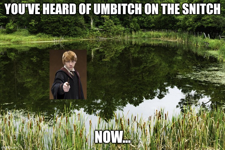 it was from my comment lol | YOU'VE HEARD OF UMBITCH ON THE SNITCH; NOW... | image tagged in ron weasley | made w/ Imgflip meme maker