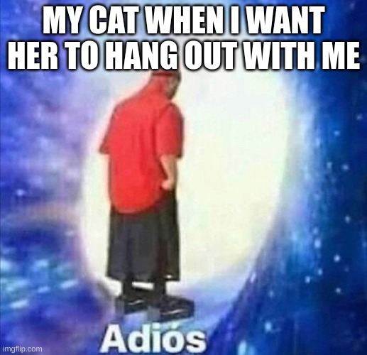 Adios | MY CAT WHEN I WANT HER TO HANG OUT WITH ME | image tagged in adios,cats | made w/ Imgflip meme maker