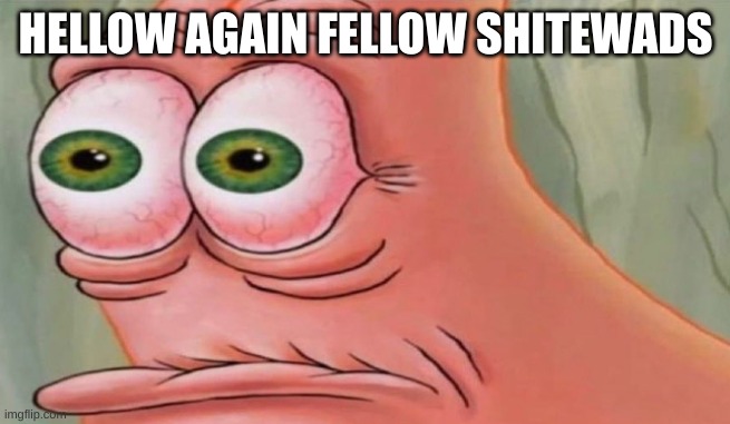 ft. w | HELLOW AGAIN FELLOW SHITEWADS | image tagged in patrick stare | made w/ Imgflip meme maker