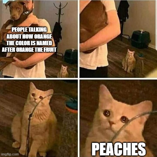 Peaches! NOOO!! | PEOPLE TALKING ABOUT HOW ORANGE THE COLOR IS NAMED AFTER ORANGE THE FRUIT; PEACHES | image tagged in sad cat holding dog | made w/ Imgflip meme maker