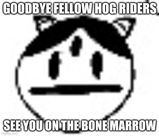 THEY WERE IMPOSTERS SONIC | GOODBYE FELLOW HOG RIDERS; SEE YOU ON THE BONE MARROW | made w/ Imgflip meme maker