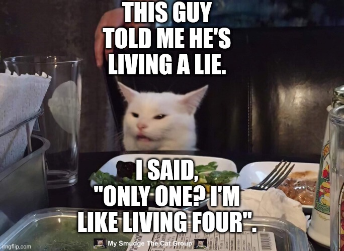 THIS GUY TOLD ME HE'S LIVING A LIE. I SAID, "ONLY ONE? I'M LIKE LIVING FOUR". | image tagged in smudge the cat | made w/ Imgflip meme maker