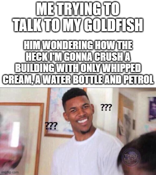 WAT | ME TRYING TO TALK TO MY GOLDFISH; HIM WONDERING HOW THE HECK I'M GONNA CRUSH A BUILDING WITH ONLY WHIPPED CREAM, A WATER BOTTLE AND PETROL | image tagged in black guy confused | made w/ Imgflip meme maker