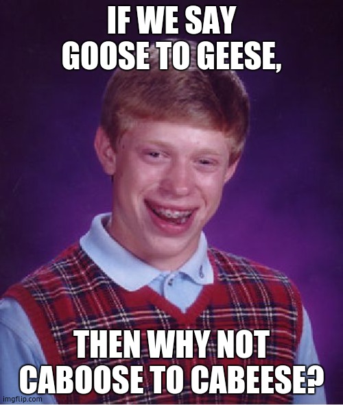 me being smart prt. 2 | IF WE SAY GOOSE TO GEESE, THEN WHY NOT CABOOSE TO CABEESE? | image tagged in memes,bad luck brian | made w/ Imgflip meme maker