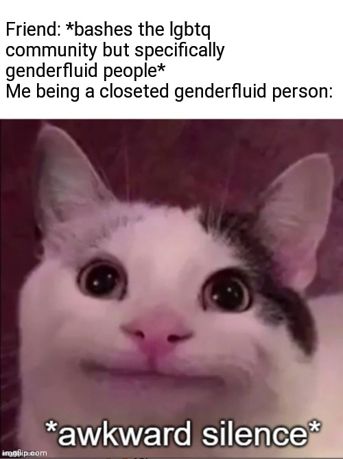 Awkward silence cat | Friend: *bashes the lgbtq community but specifically genderfluid people*
Me being a closeted genderfluid person: | image tagged in awkward silence cat | made w/ Imgflip meme maker