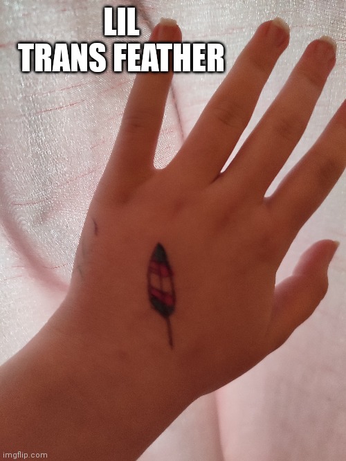 Day 14 of doing something LGBTQ related every day (I couldn't post yesterday lol) | LIL TRANS FEATHER | made w/ Imgflip meme maker