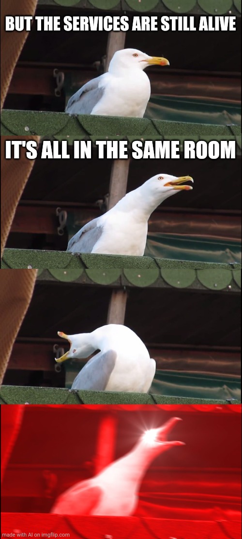 Inhaling Seagull | BUT THE SERVICES ARE STILL ALIVE; IT'S ALL IN THE SAME ROOM | image tagged in memes,inhaling seagull | made w/ Imgflip meme maker