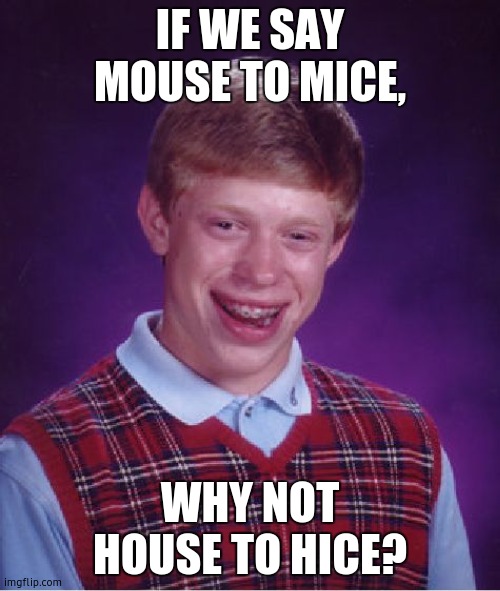 me being smart prt. 3 | IF WE SAY MOUSE TO MICE, WHY NOT HOUSE TO HICE? | image tagged in memes,bad luck brian | made w/ Imgflip meme maker