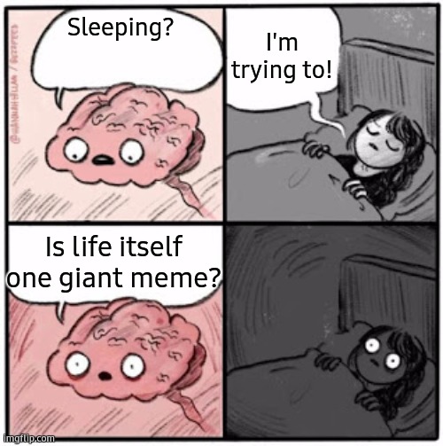 Brain Before Sleep | I'm trying to! Sleeping? Is life itself one giant meme? | image tagged in brain before sleep | made w/ Imgflip meme maker