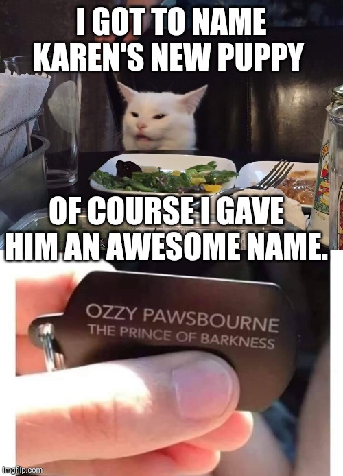  I GOT TO NAME KAREN'S NEW PUPPY; OF COURSE I GAVE HIM AN AWESOME NAME. | image tagged in smudge the cat | made w/ Imgflip meme maker