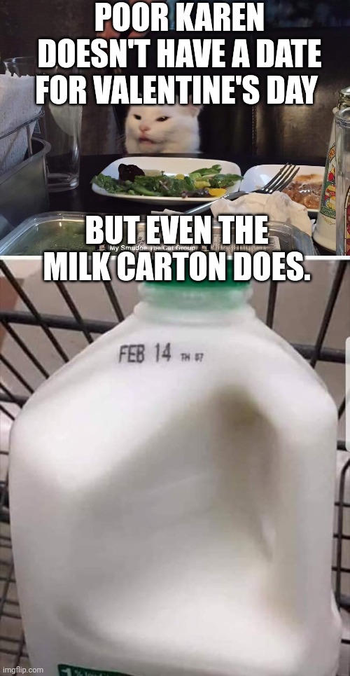 POOR KAREN DOESN'T HAVE A DATE FOR VALENTINE'S DAY; BUT EVEN THE MILK CARTON DOES. | image tagged in smudge the cat | made w/ Imgflip meme maker