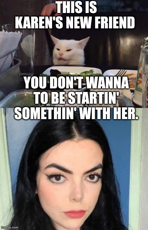 THIS IS KAREN'S NEW FRIEND; YOU DON'T WANNA TO BE STARTIN' SOMETHIN' WITH HER. | image tagged in smudge the cat | made w/ Imgflip meme maker