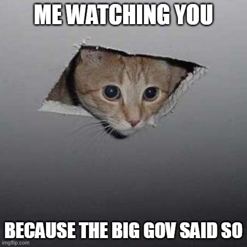 Just your regular FBI agent | ME WATCHING YOU; BECAUSE THE BIG GOV SAID SO | image tagged in memes,ceiling cat,cats,why is the fbi here,billy's fbi agent,government corruption | made w/ Imgflip meme maker