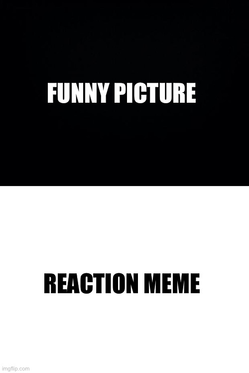 Fun Stream front page template | FUNNY PICTURE; REACTION MEME | image tagged in fun stream,front page | made w/ Imgflip meme maker