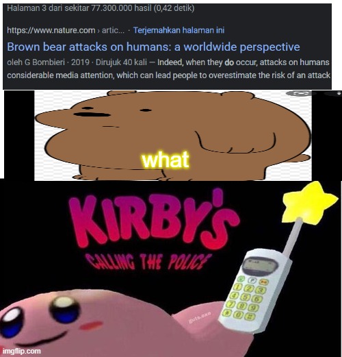 Kirby's calling the Police | what | image tagged in kirby's calling the police | made w/ Imgflip meme maker