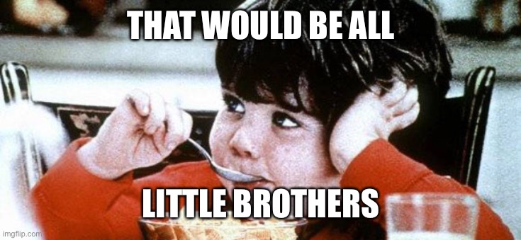 Mikey likes it | THAT WOULD BE ALL LITTLE BROTHERS | image tagged in mikey likes it | made w/ Imgflip meme maker
