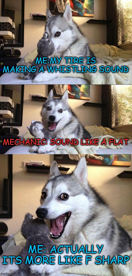 ... | ME:MY TIRE IS MAKING A WHISTLING SOUND; MECHANIC: SOUND LIKE A FLAT; ME: ACTUALLY ITS MORE LIKE F SHARP | image tagged in memes,bad pun dog,funny,not funny,fun | made w/ Imgflip meme maker