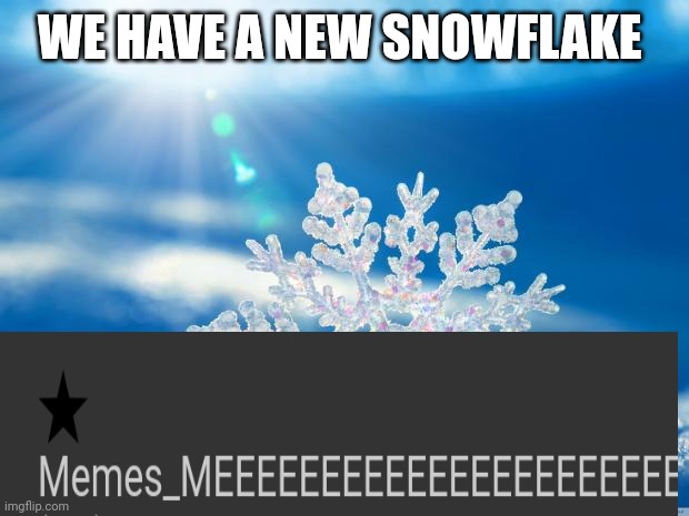 snowflake | WE HAVE A NEW SNOWFLAKE | image tagged in snowflake | made w/ Imgflip meme maker