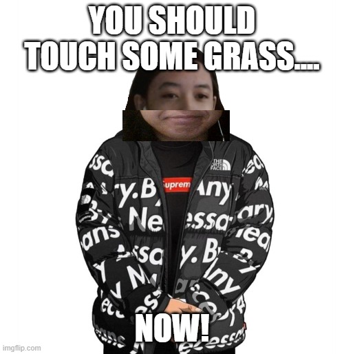 Touch grass, breathe air, take a break off Imgflip. Be anywhere but this website because you're toxic as f*ck. | YOU SHOULD TOUCH SOME GRASS.... NOW! | image tagged in jemy cursed drip | made w/ Imgflip meme maker
