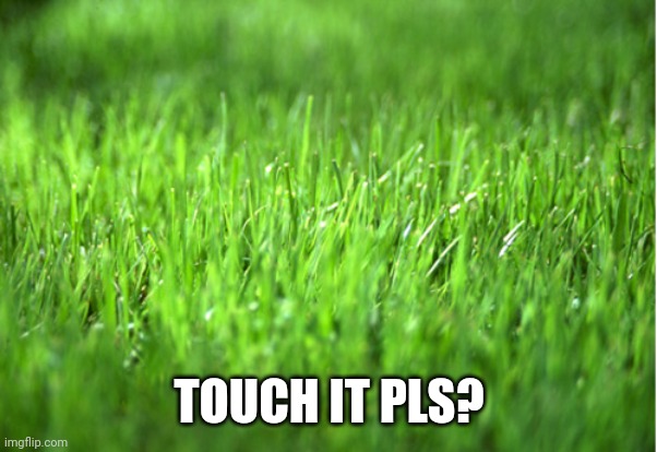 grass is greener | TOUCH IT PLS? | image tagged in grass is greener | made w/ Imgflip meme maker