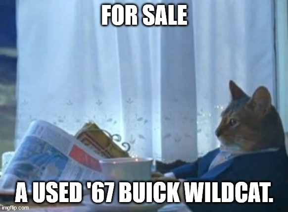 I Should Buy A Boat Cat | FOR SALE; A USED '67 BUICK WILDCAT. | image tagged in memes,i should buy a boat cat | made w/ Imgflip meme maker