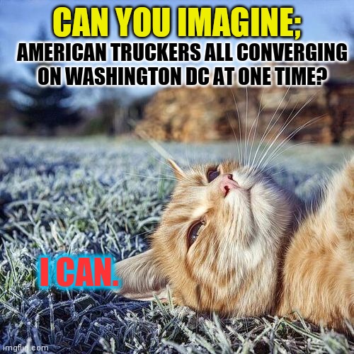 Calling the Rubber Duck | AMERICAN TRUCKERS ALL CONVERGING ON WASHINGTON DC AT ONE TIME? CAN YOU IMAGINE;; I CAN. | image tagged in daydreaming cat,liberty,tyranny,live long and prosper,one does not simply,freedom | made w/ Imgflip meme maker